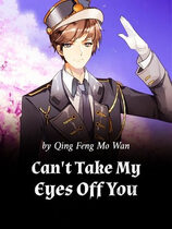 Can't Take My Eyes Off You (WN)