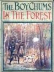 The Boy Chums In The Forest